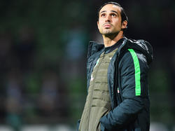 Werder-Coach Alexander Nouri wäre fast beim HSV gelandet