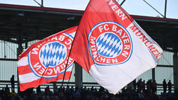 Der FC Bayern verpflichtet wohl bald Javier Fernández von Atlético Madrid
