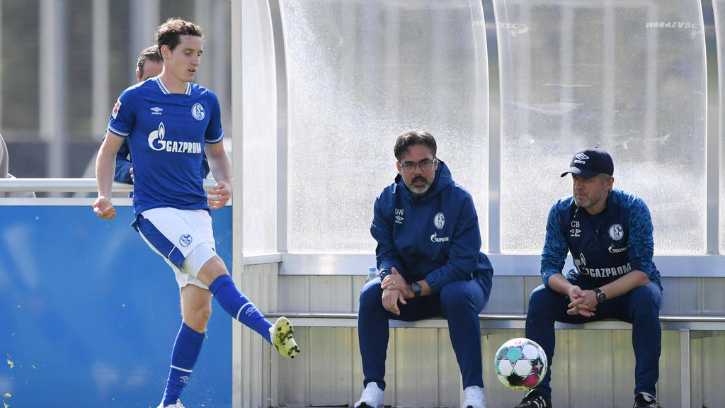 Sebastian Rudy soll beim FC Schalke 04 als Rechtsverteidiger auflaufen Sebastian Rudy soll beim FC Schalke 04 als Rechtsverteidiger auflaufen