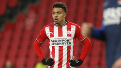 Donyell Malen ist offenbar ein heißes Thema beim BVB