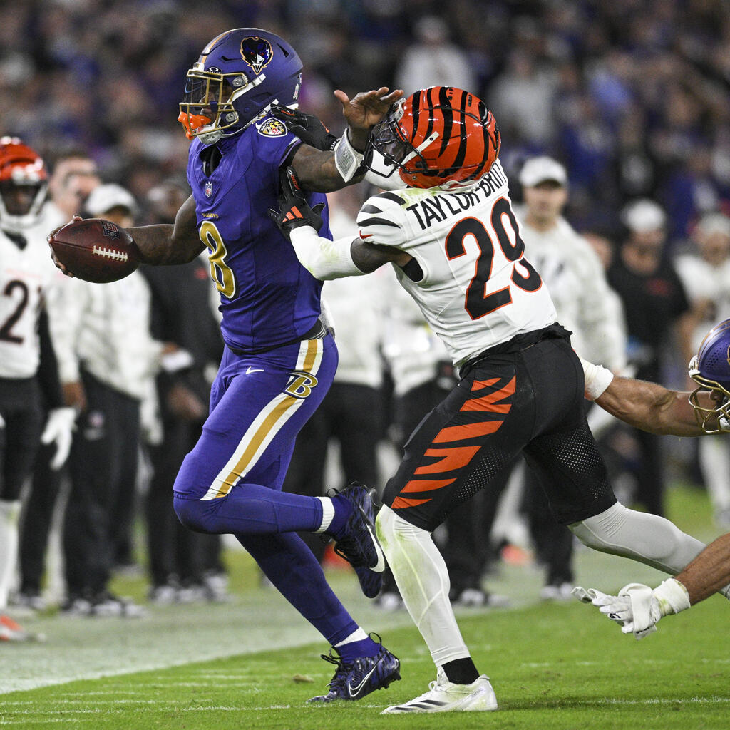 AFC North
