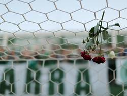 Große Trauer um das Unglück, das Chapecoense widerfahren ist