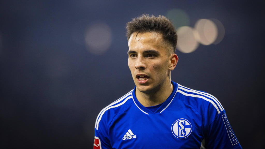 Rodrigo Zalazar glaubt an den Klassenerhalt des FC Schalke 04 Rodrigo Zalazar glaubt an den Klassenerhalt des FC Schalke 04