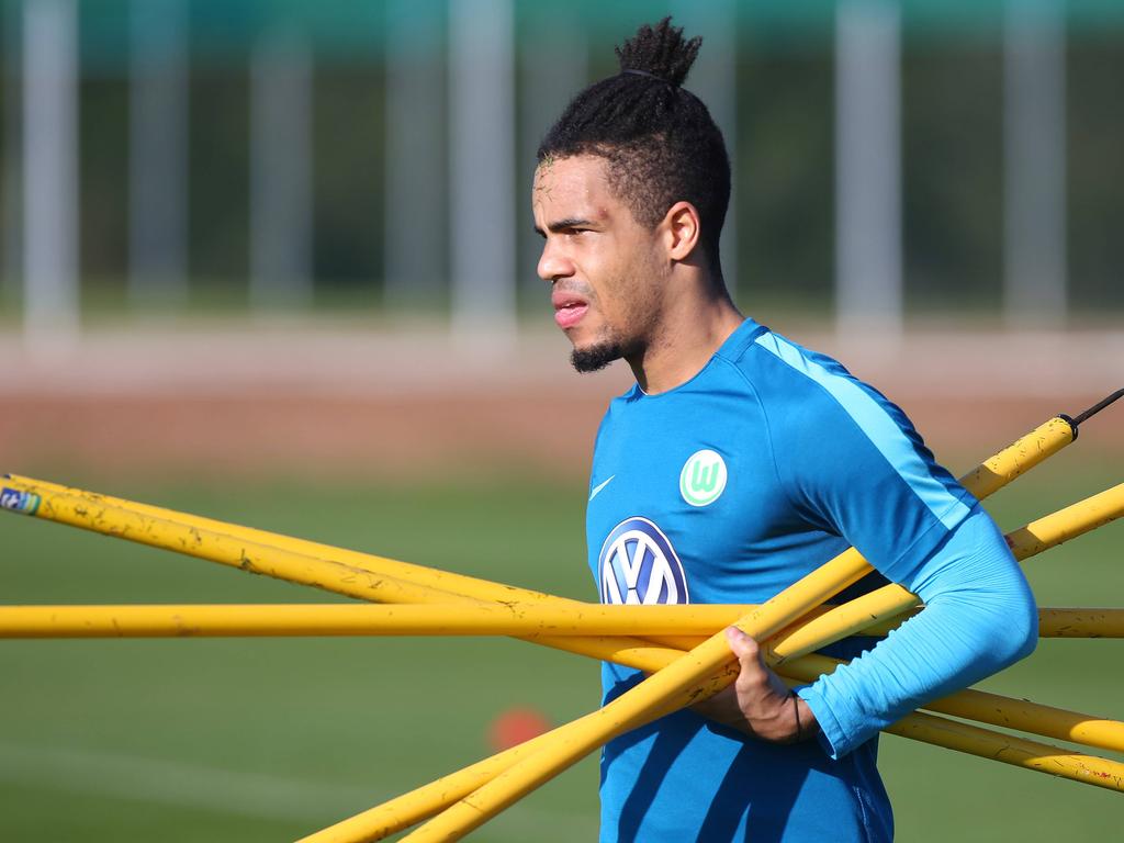 Daniel Didavi könnte gegen den 1. FC Köln sein Comeback für den VfL Wolfsburg geben Daniel Didavi könnte gegen den 1. FC Köln sein Comeback für den VfL Wolfsburg geben