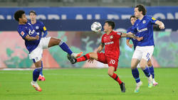 Bayer Leverkusen sicherte einen Punkt beim FC Schalke 04