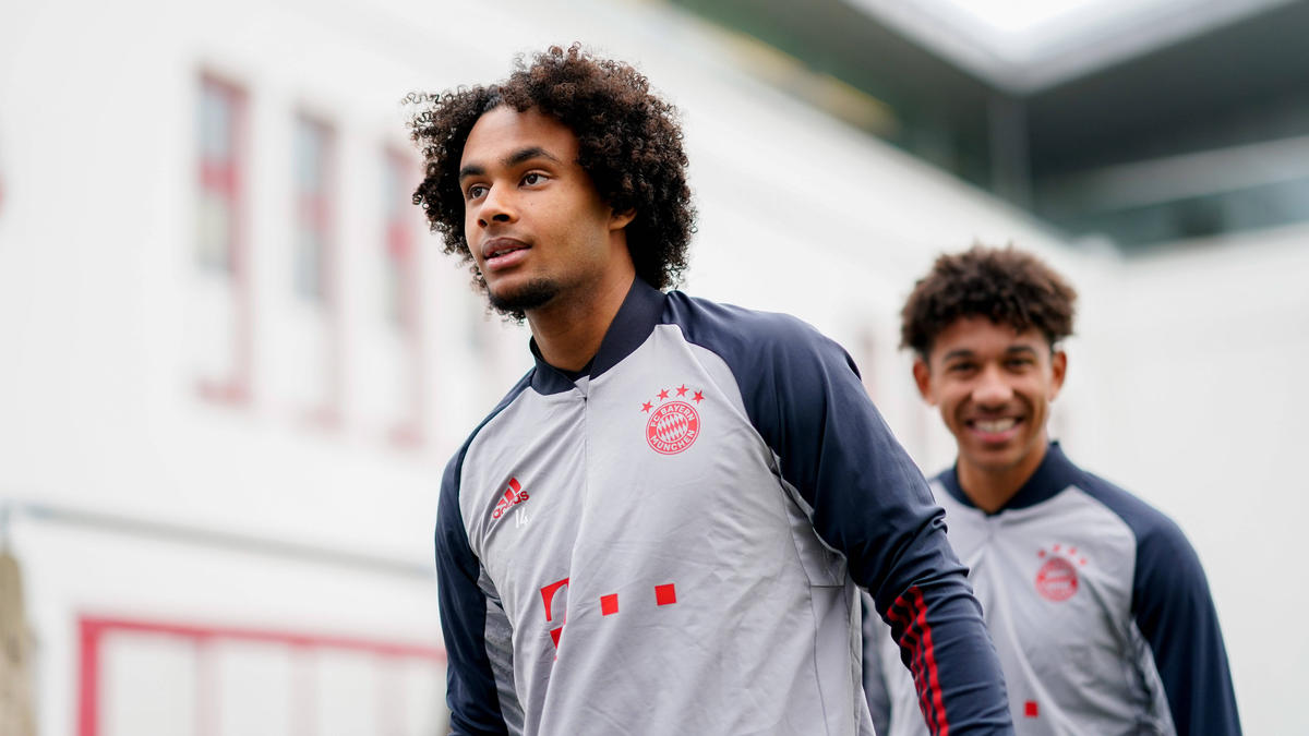 Joshua Zirkzee vom FC Bayern zu Eintracht Frankfurt? Joshua Zirkzee vom FC Bayern zu Eintracht Frankfurt?