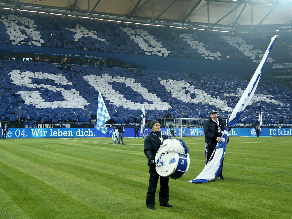 Schalke Euro
