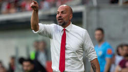 Würde gern wieder in der Bundesliga arbeiten: Markus Babbel
