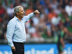 Lucien Favre soll Trainer beim BVB werden