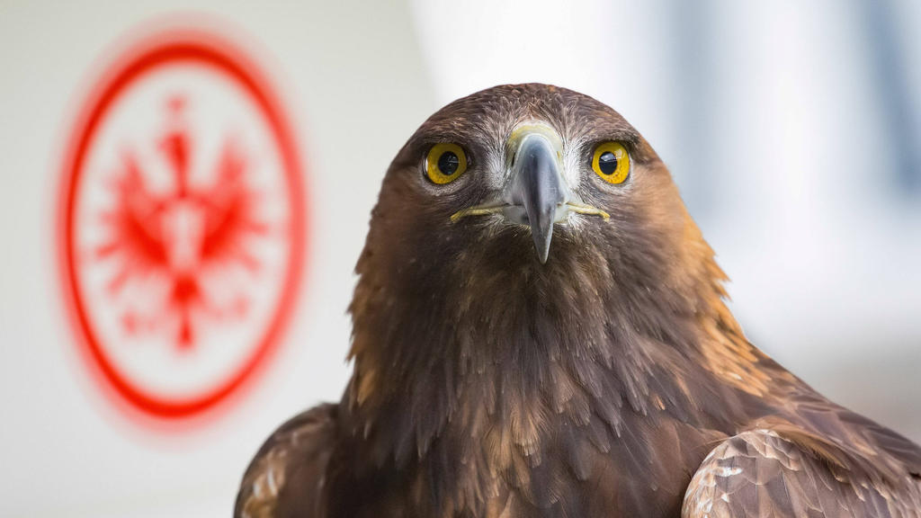 Frankfurt schließt Geschäftsjahr mit Verlust ab Frankfurt schließt Geschäftsjahr mit Verlust ab