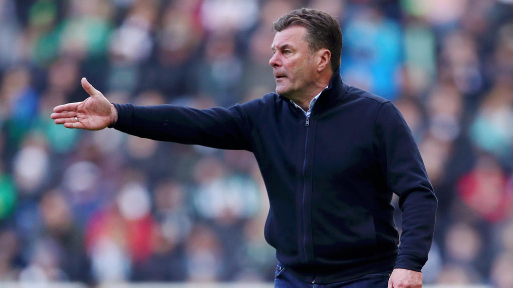 Dieter Hecking wird beim 1. FC Köln gehandelt Dieter Hecking wird beim 1. FC Köln gehandelt