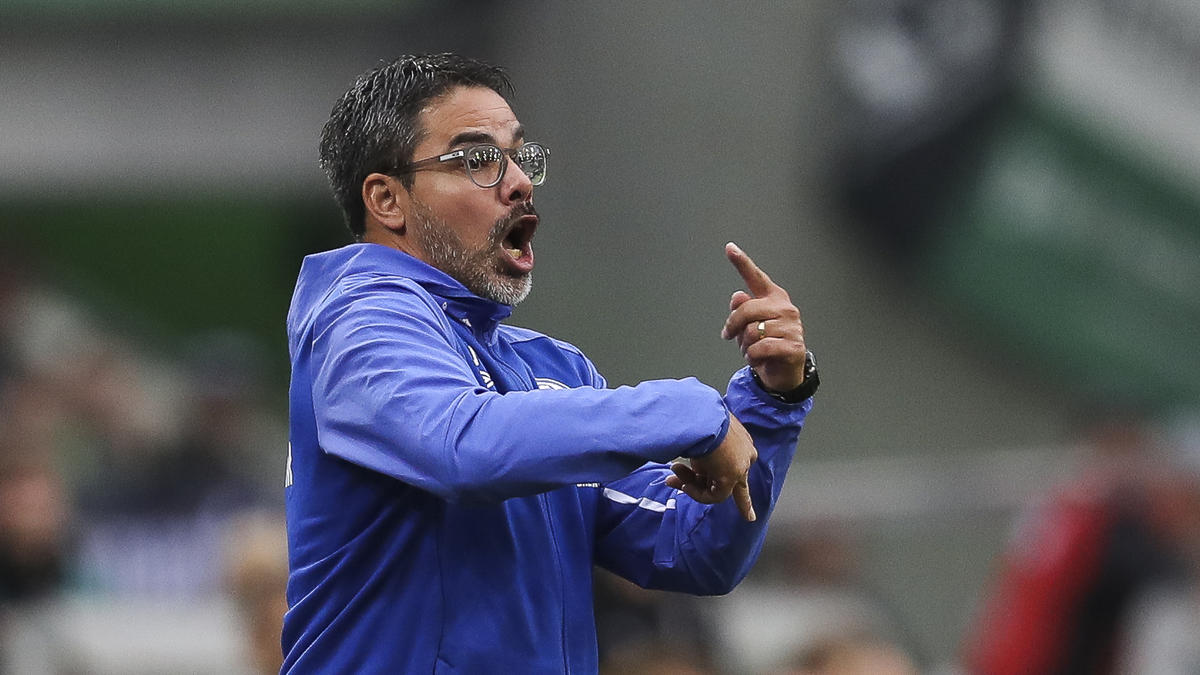 David Wagner haderte bei der Partie seines FC Schalke 04 gegen den FC Bayern mit einigen Entscheidungen David Wagner haderte bei der Partie seines FC Schalke 04 gegen den FC Bayern mit einigen Entscheidungen