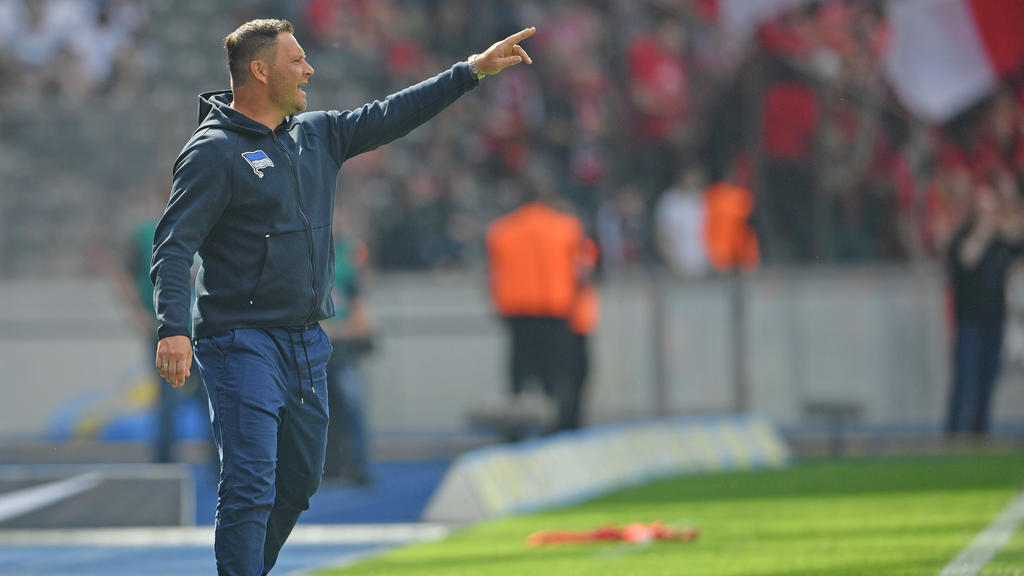 Pál Dárdai wird wohl kein Trainer in Köln werden