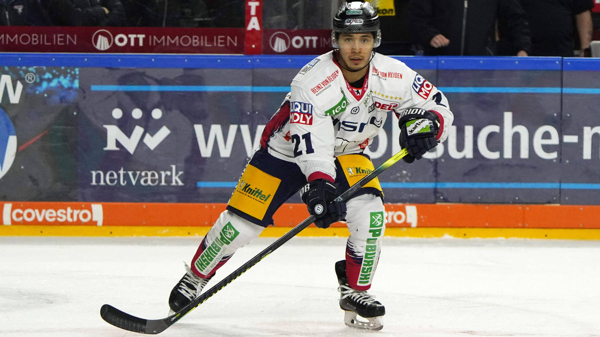 Austin Ortega wird die Eisbären verlassen Austin Ortega wird die Eisbären verlassen