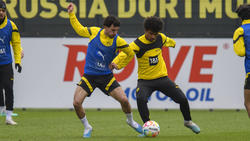 Mateu Morey (l.) spielte am Mittwoch für den BVB II