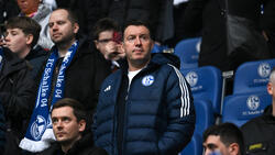 Marc Wilmots sieht Schalke 04 weit entfernt von alten Höhen