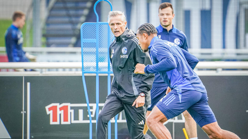 Kees van Wonderen ist neuer Chefcoach des FC Schalke 04