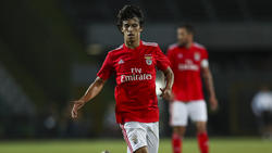 Joao Félix gilt in Portugal als großes Talent