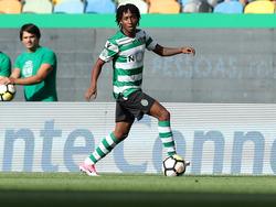 Soll Kandidat beim BVB sein: Gelson Martins