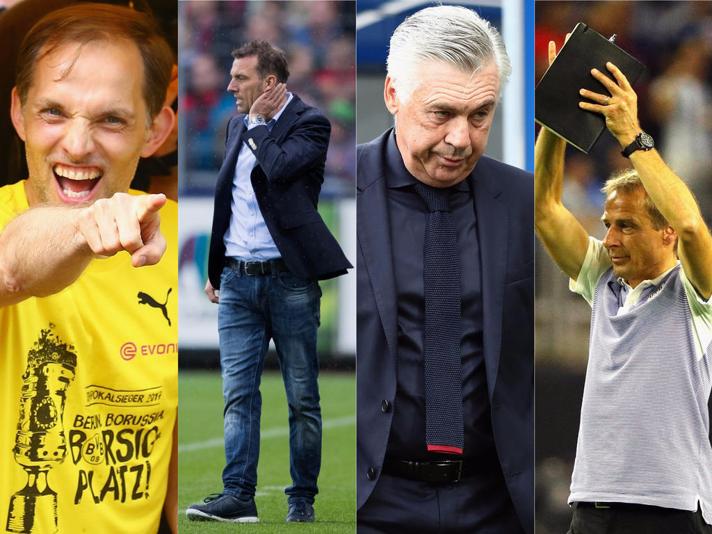 Trainer Ohne Job Trainer Ohne Job