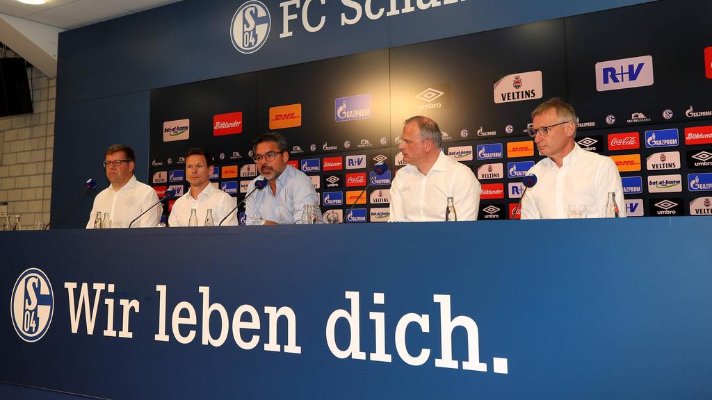 Transfermarkt Schalke 04 Aktuelle Nachrichten