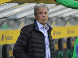 Lucien Favre könnte im Sommer bei Schalke anheuern
