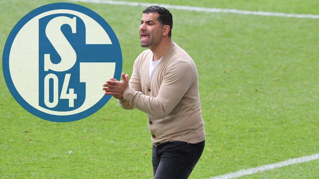 Dimitrios Grammozis plant mit dem FC Schalke 04 den Wiederaufstieg