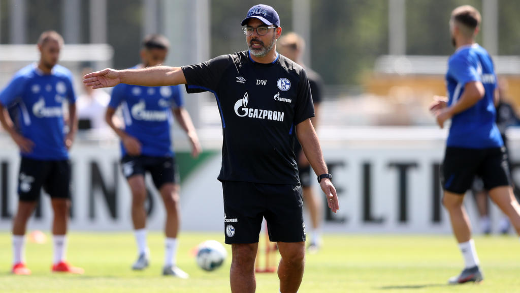 David Wagner hat auf Schalke die Zügel in der Hand