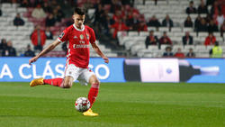 Julian Weigl will Benfica angeblich verlassen