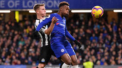 Neben dem FC Bayern wirbt auch der FC Liverpool um Callum Hudson-Odoi
