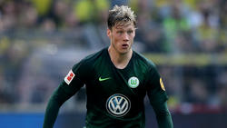 Fühlt sich in Wolfsburg pudelwohl: Wout Weghorst