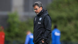 David Wagner wartet mit dem FC Schalke 04 seit Monaten auf einen Sieg