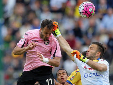 Palermo VS Pisa: the official squads - Palermo F.C.