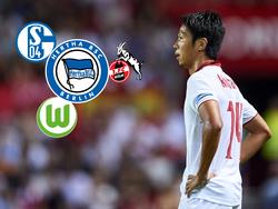 Hiroshi Kiyotake scheint eine Rückkehr in die Bundesliga bevorzustehen 