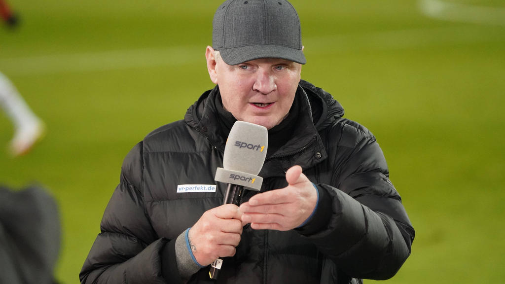 Stefan Effenberg empfiehlt dem BVB einen Umbruch Stefan Effenberg empfiehlt dem BVB einen Umbruch