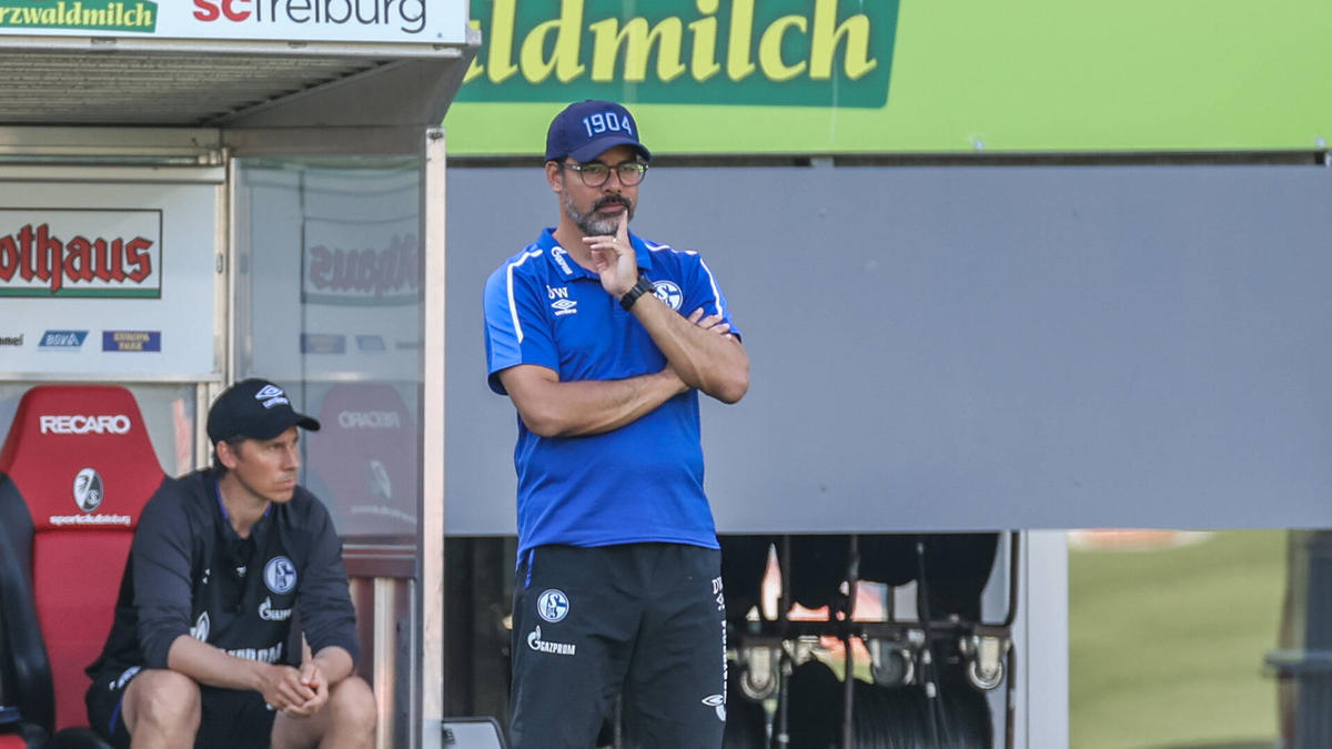 David Wagner evita demissão no FC Schalke 04