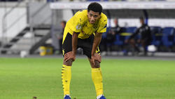 Ralf Rangnick adelt BVB-Youngster Belingham