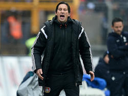 Roger Schmidt muss sich auf eine Sperre und eine saftige Geldstrafe einstellen