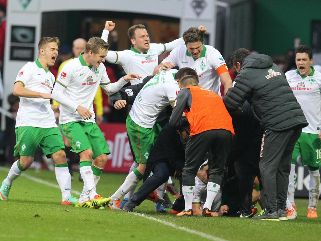 Späte Erlösung: Werders Team feiert ausgelassen den Ausgleich von Ludovic Obraniak