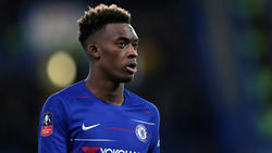 Callum Hudson-Odoi wird unter anderem vom FC Bayern und BVB umworben