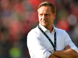 Hannover-Manager Horst Heldt soll beim VfL Wolfsburg hoch im Kurs stehen