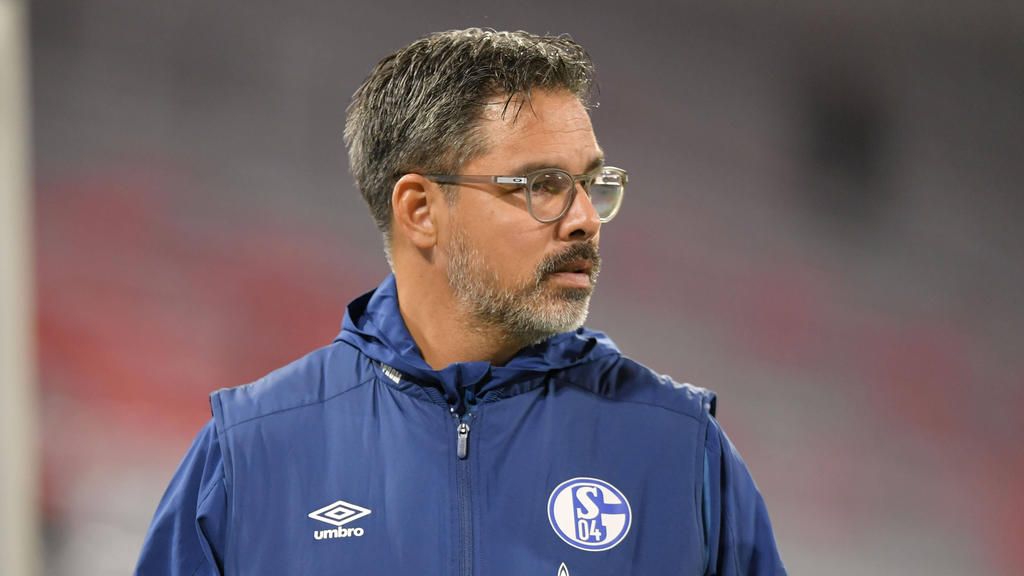 David Wagner droht das Aus beim FC Schalke 04