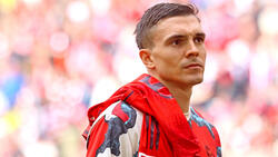 Joao Palhinha will sich beim FC Bayern durchsetzen