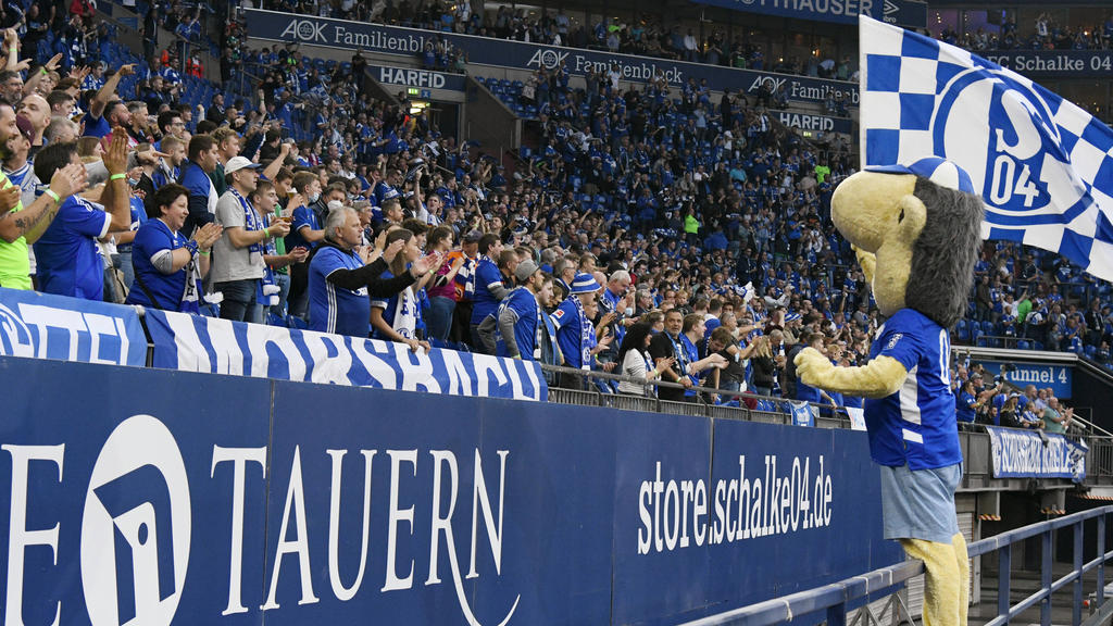 Der FC Schalke 04 hat am Samstag ein brisantes Heimspiel