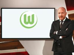 Berät Matthias Sammer bald den VfL Wolfsburg? (Bildmontage)