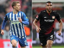 Im Visier des  BVB? Mitchell Weiser (li.) und Jonathan Tah