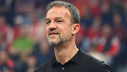 Fredi Bobic äußerte sich über seinen Ex-Verein Borussia Dortmund