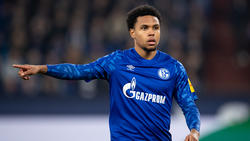 McKennie fällt bis Februar mit Schulterverletzung aus