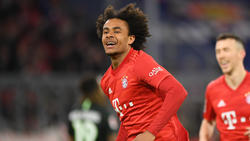 Joshua Zirkzee ist der Mann der Stunde beim FC Bayern
