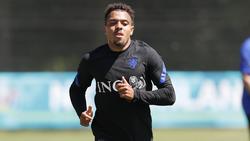 Donyell Malen könnte Jadon Sancho beim BVB beerben